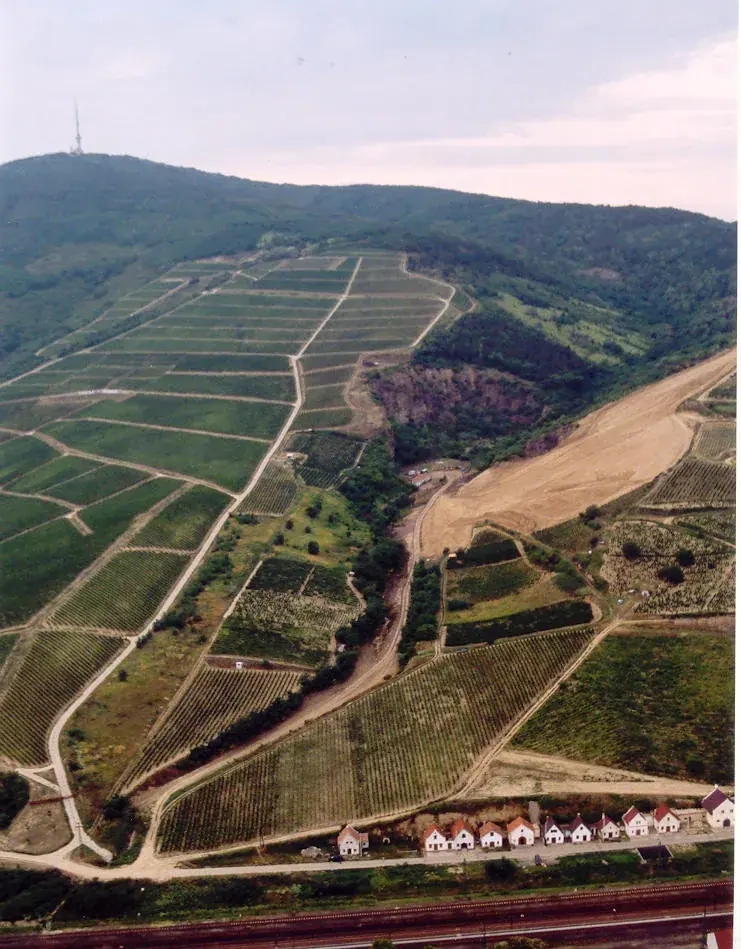 Tokaj Baglari